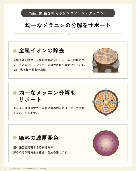 均一なメラニンの分解をサポート