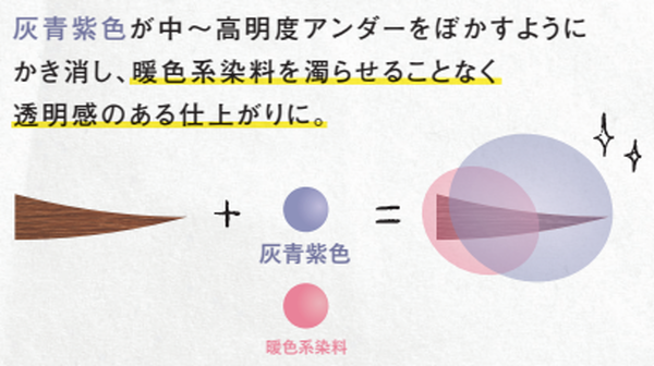 グレージュシフトイメージ