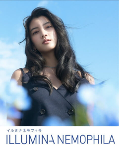 イルミナネモフィラ