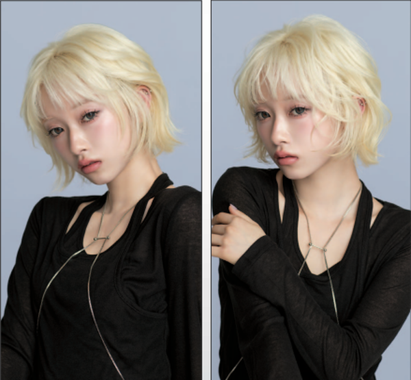 ニゼル　ドレシア　ストップフィルター