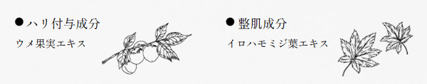 美容成分画像１