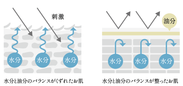 混合肌説明画像