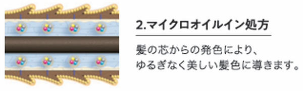 マイクロオイルイン処方