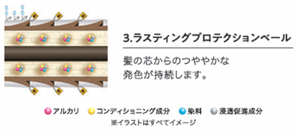 ラスティングプロテクションベール