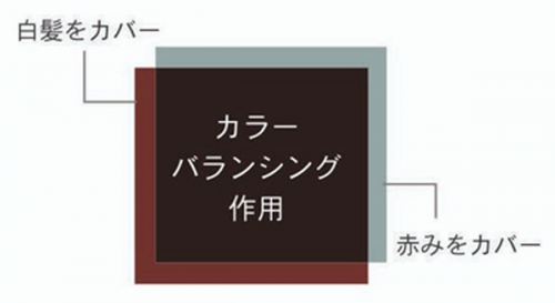 クイックニュートラルブラウン（NBq）
